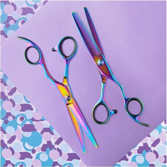 Professional Hairdressing Scissors Hair Cutting Scissors